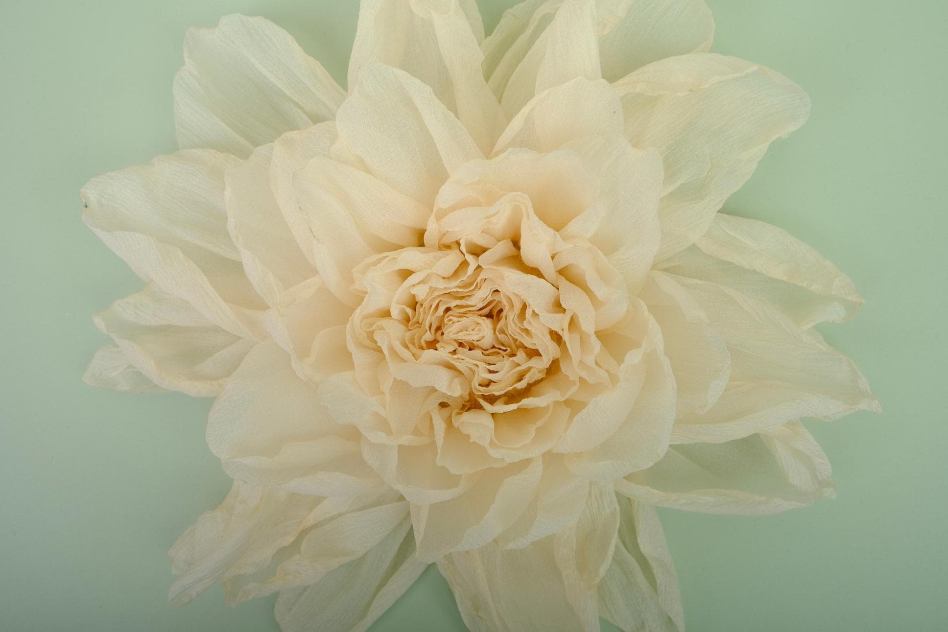 BEAUTIFUL HAND-CRAFTED PEONY BLOOMS