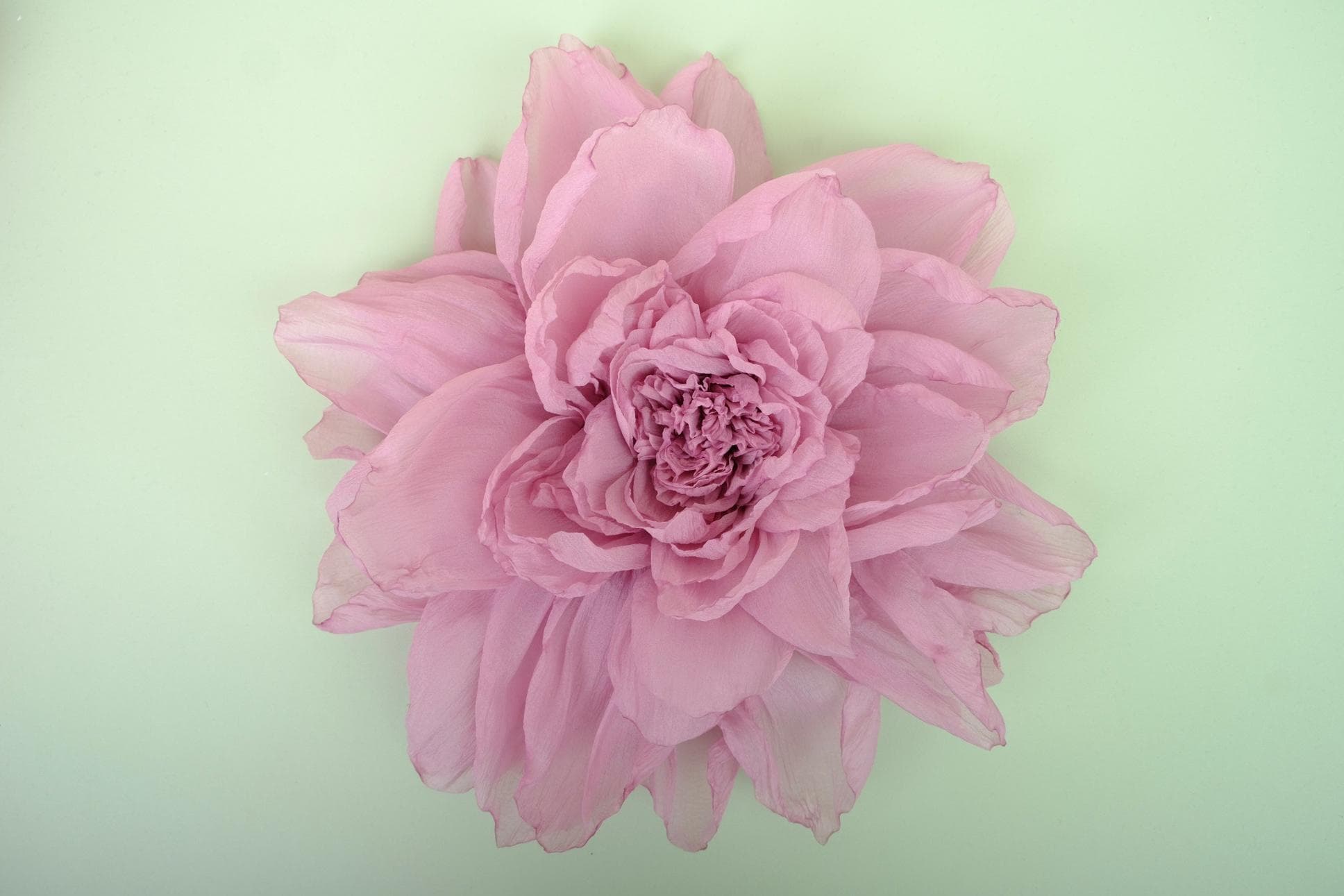 STUNNING HANDMADE PEONY BLOSSOMS