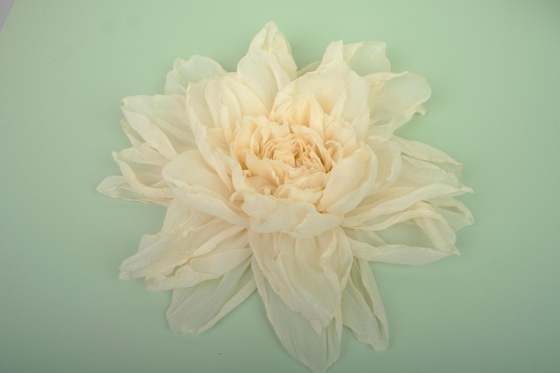 BEAUTIFUL HAND-CRAFTED PEONY BLOOMS