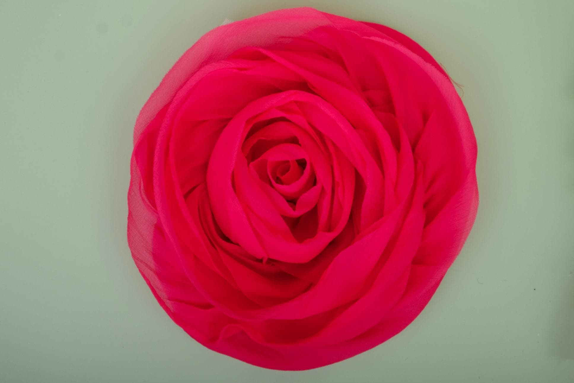 IMPRESSIVE HAND-CRAFTED ROSE PETALS