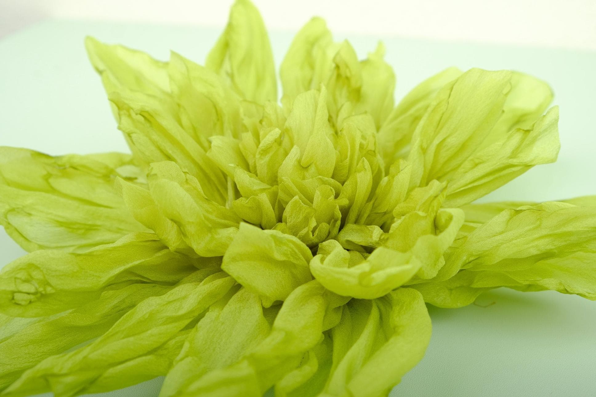 BEAUTIFUL HANDMADE CHRYSANTHEMUM BLOOMS