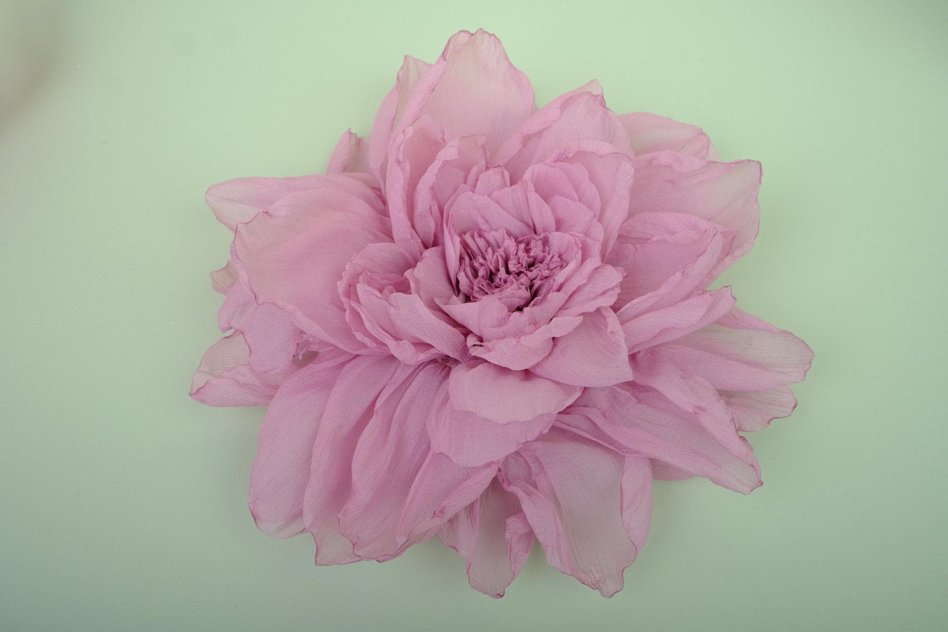 STUNNING HANDMADE PEONY BLOSSOMS