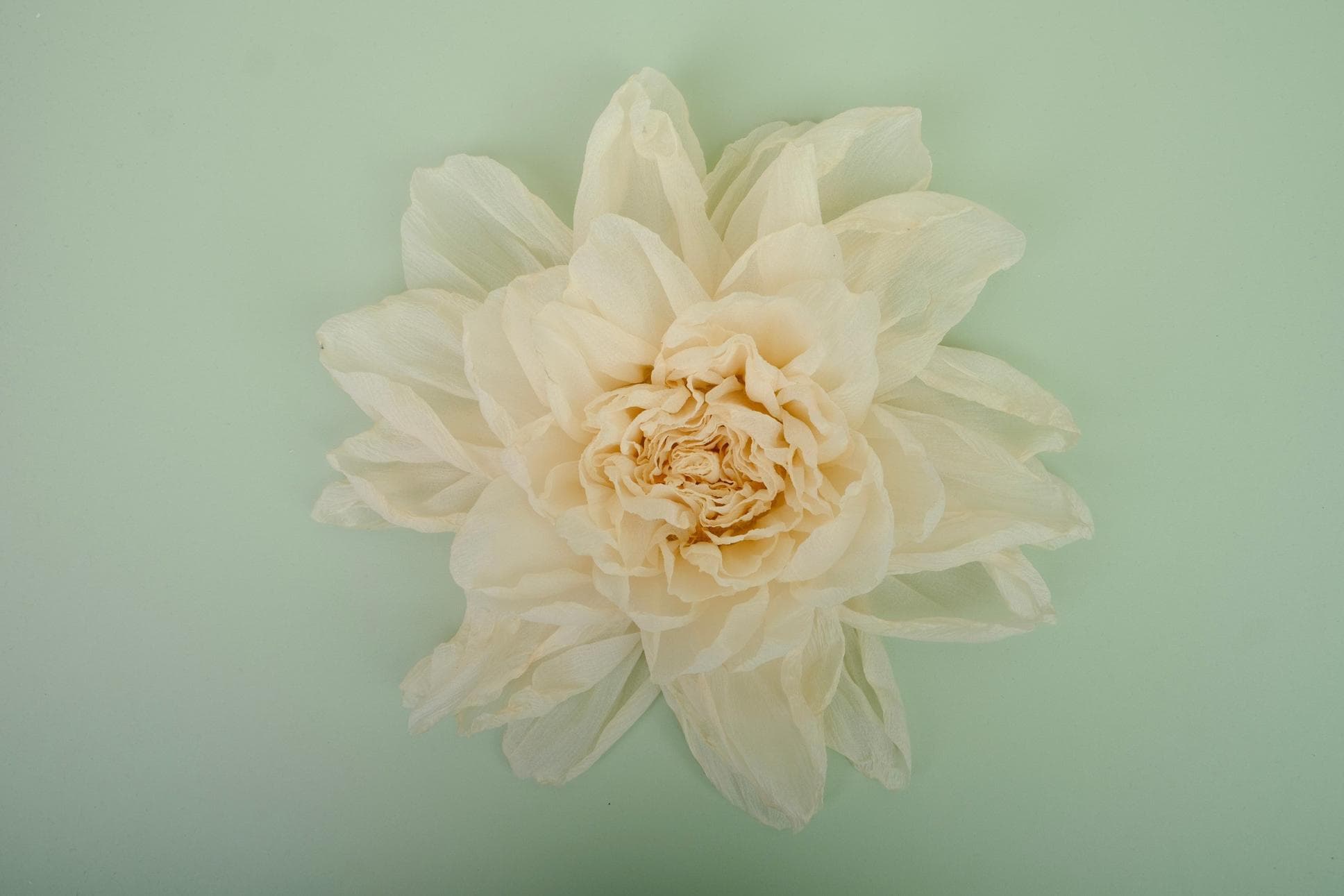 BEAUTIFUL HAND-CRAFTED PEONY BLOOMS