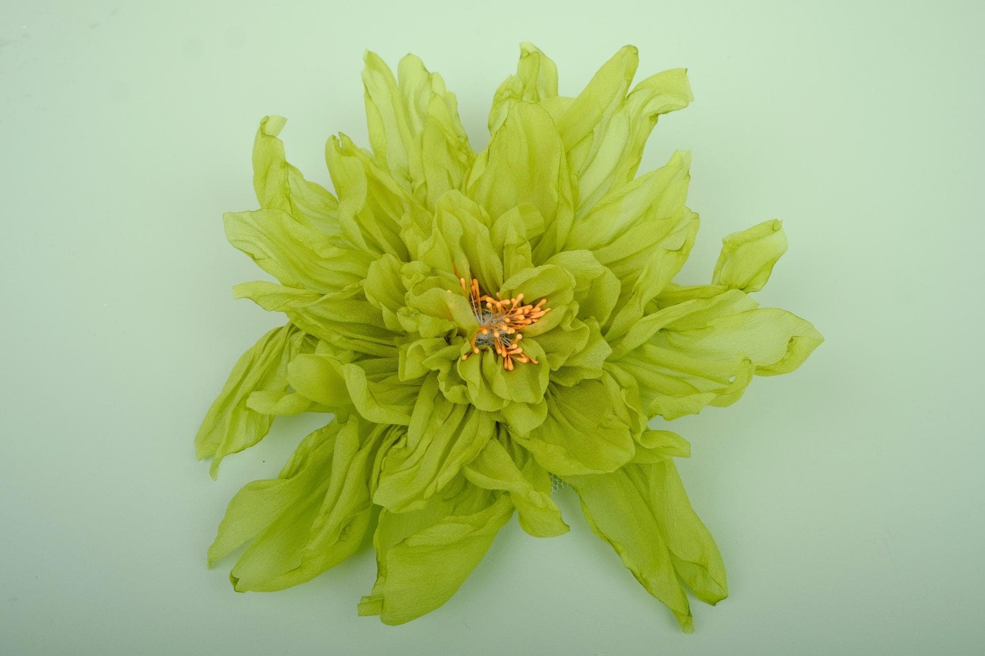 AMAZING GREEN PEONY BLOSSOMS