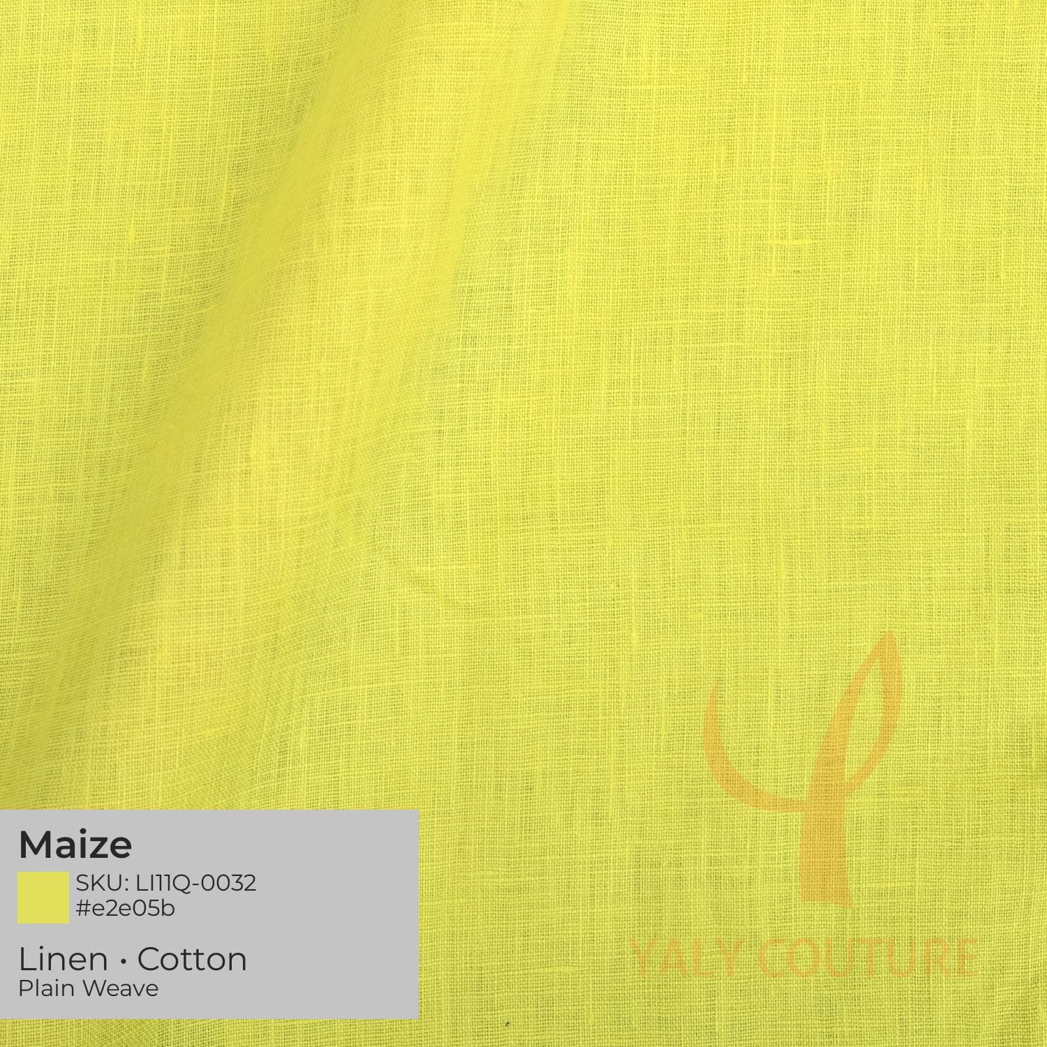 Maize