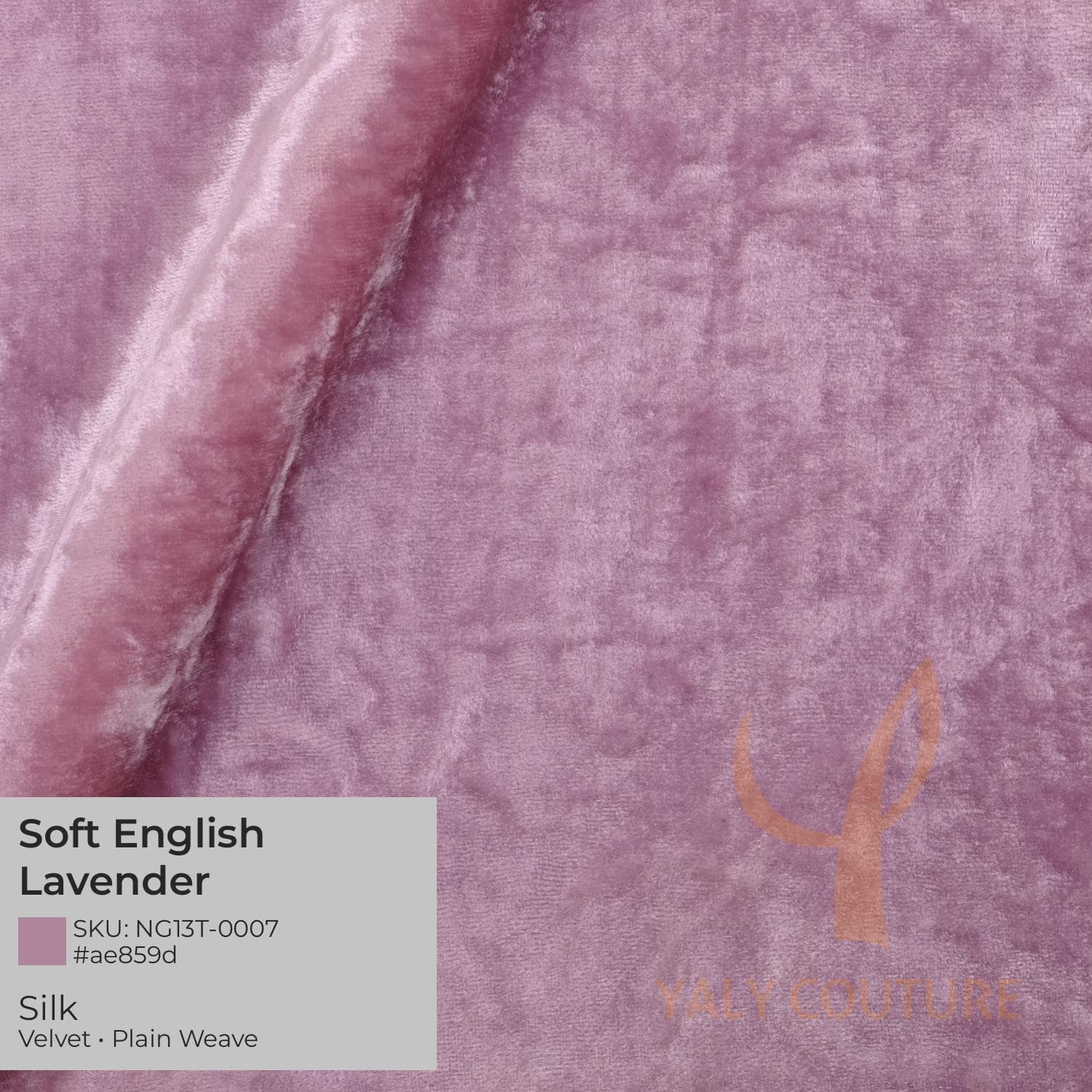 Soft English Lavender