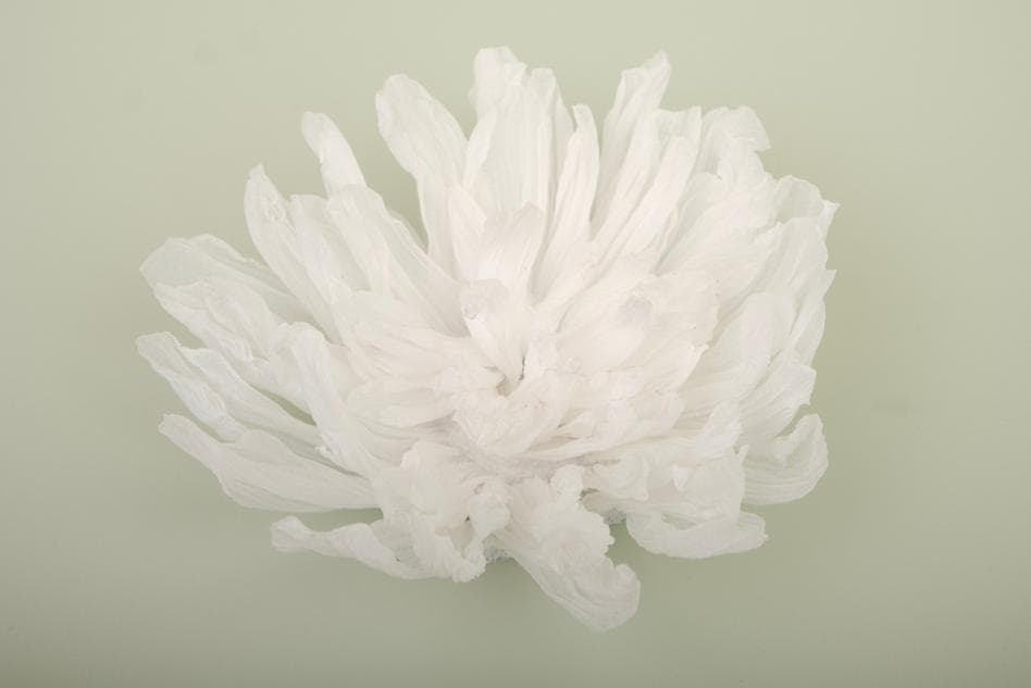 HANDMADE CHRYSANTHEMUM BLOSSOMS