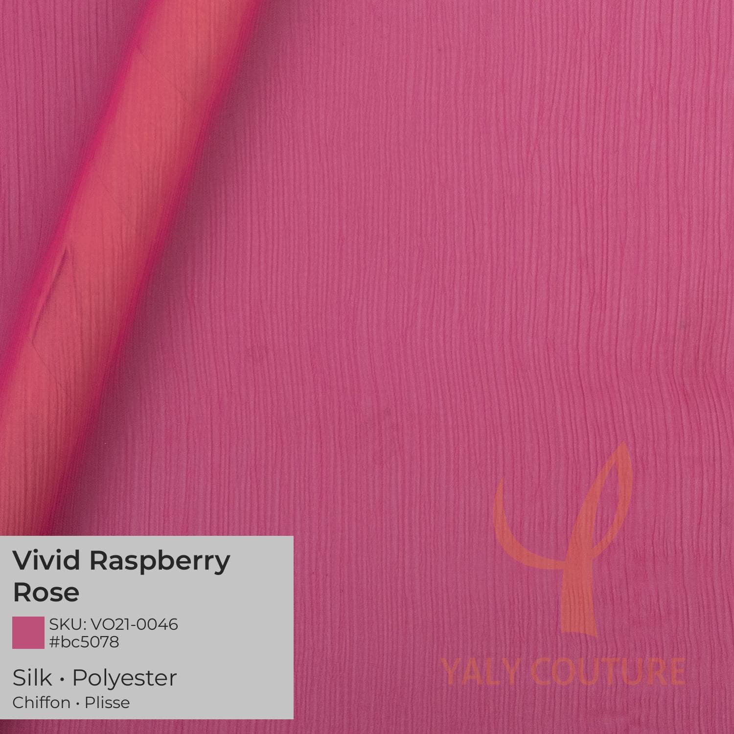 Vivid Raspberry Rose